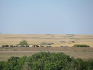 Фото с сайта outdoors.ru