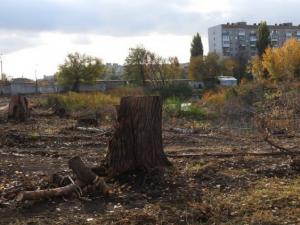 Фото ИА «Свободные новости»